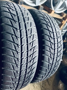 225 65 17 Nokian WR SUV3. Фото 2