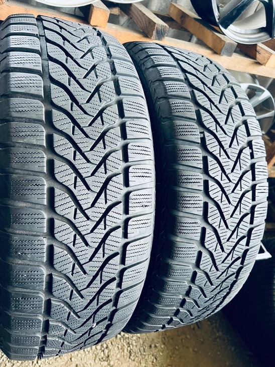 225 60 18 Lassa Competus Winter2