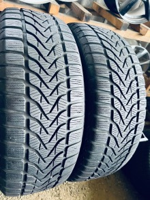 225 60 18 Lassa Competus Winter2