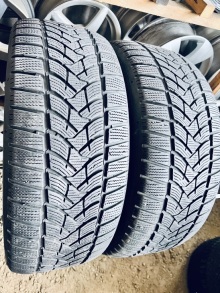 235 55 17 Dunlop Winter Sport 5. Фото 5