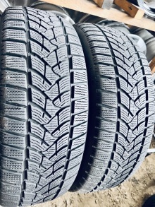 215 60 17 Dunlop Winter Sport5