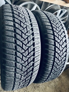 195 55 16 Dunlop Winter Sport 5 . Фото 8