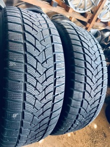 235 55 19 Dunlop Winter Sport 5 