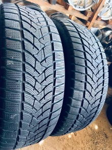 235 55 19 Dunlop Winter Sport 5 . Фото 2
