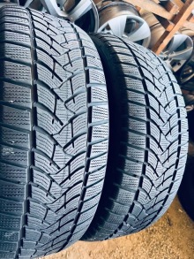 235 55 19 Dunlop Winter Sport 5 . Фото 3