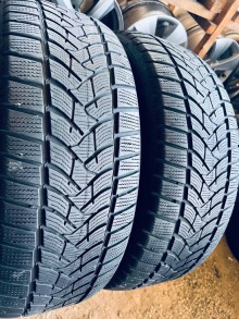 235 55 19 Dunlop Winter Sport 5 . Фото 4