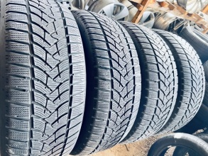 235 55 19 Dunlop Winter Sport5 . Фото 2