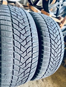 255 45 20 Dunlop Winter Sport 5. Фото 4